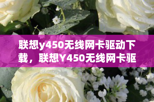 联想y450无线网卡驱动下载,联想Y450无线网卡驱动,解决连接问题的关键 联想y450无线网卡驱动下载,联想Y450无线网卡驱动,解决连接问题的关键