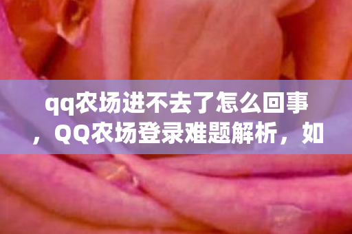 qq农场进不去了怎么回事图片
