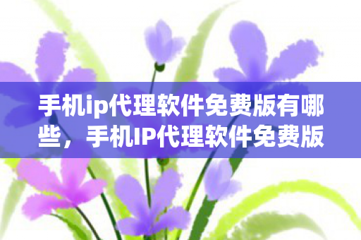 手机ip代理软件免费版有哪些,手机IP代理软件免费版,高效便捷的网络访问新选择 手机ip代理软件免费版有哪些,手机IP代理软件免费版,高效便捷的网络访问新选择