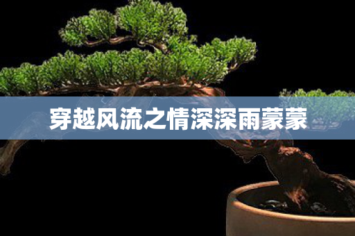 穿越风流之情深深雨蒙蒙 穿越风流之情深深雨蒙蒙