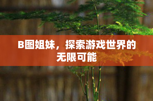 B图姐妹,探索游戏世界的无限可能 B图姐妹,探索游戏世界的无限可能