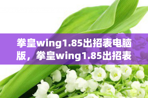 拳皇wing1.85出招表电脑版,拳皇wing1.85出招表,深度解析与实战应用 拳皇wing1.85出招表电脑版,拳皇wing1.85出招表,深度解析与实战应用