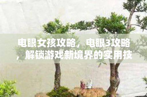 电眼女孩攻略,电眼3攻略,解锁游戏新境界的实用技巧 电眼女孩攻略,电眼3攻略,解锁游戏新境界的实用技巧