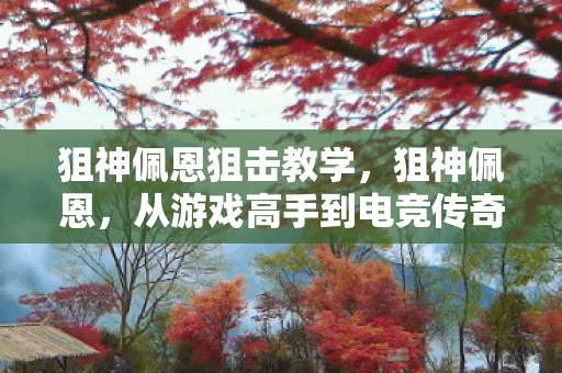 狙神佩恩狙击教学,狙神佩恩,从游戏高手到电竞传奇 狙神佩恩狙击教学,狙神佩恩,从游戏高手到电竞传奇