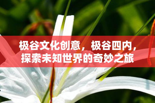 极谷文化创意,极谷四内,探索未知世界的奇妙之旅 极谷文化创意,极谷四内,探索未知世界的奇妙之旅