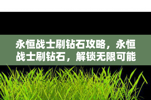 永恒战士刷钻石攻略,永恒战士刷钻石,解锁无限可能的虚拟财富 永恒战士刷钻石攻略,永恒战士刷钻石,解锁无限可能的虚拟财富