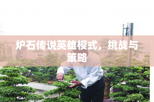 炉石传说英雄模式,挑战与策略 炉石传说英雄模式,挑战与策略