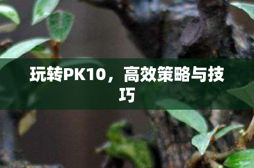 玩转PK10,高效策略与技巧 玩转PK10,高效策略与技巧