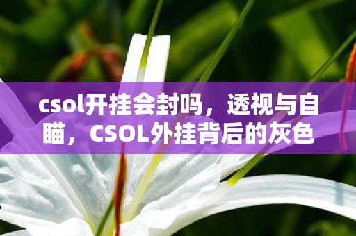 csol开挂会封吗,透视与自瞄,CSOL外挂背后的灰色世界 csol开挂会封吗,透视与自瞄,CSOL外挂背后的灰色世界