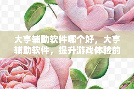 大亨辅助软件哪个好，大亨辅助软件，提升游戏体验的得力助手