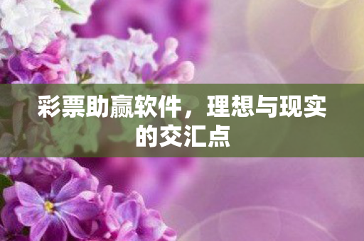 彩票助赢软件,理想与现实的交汇点 彩票助赢软件,理想与现实的交汇点