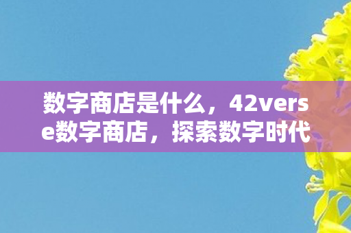 数字商店是什么,42verse数字商店,探索数字时代的购物新体验 数字商店是什么,42verse数字商店,探索数字时代的购物新体验