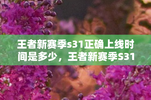 王者新赛季s31正确上线时间是多少,王者新赛季S31,全新赛季,全新挑战 王者新赛季s31正确上线时间是多少,王者新赛季S31,全新赛季,全新挑战