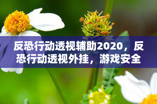 反恐行动透视辅助2020，反恐行动透视外挂，游戏安全的隐形威胁