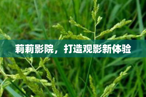 莉莉影院,打造观影新体验 莉莉影院,打造观影新体验