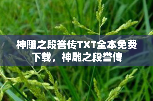 神雕之段誉传TXT全本免费下载,神雕之段誉传 神雕之段誉传TXT全本免费下载,神雕之段誉传