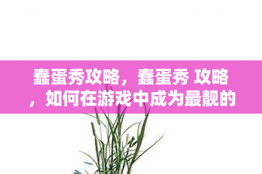 蠢蛋秀攻略，蠢蛋秀 攻略，如何在游戏中成为最靓的仔