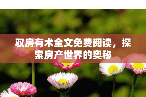 驭房有术全文免费阅读，探索房产世界的奥秘