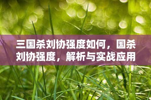 三国杀刘协强度如何,国杀刘协强度,解析与实战应用 三国杀刘协强度如何,国杀刘协强度,解析与实战应用