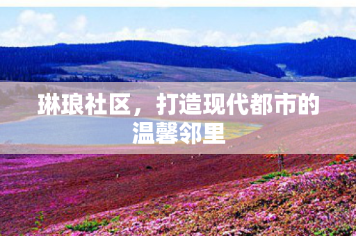 琳琅社区,打造现代都市的温馨邻里 琳琅社区,打造现代都市的温馨邻里