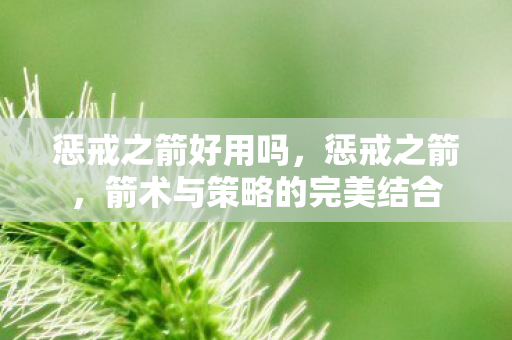 惩戒之箭好用吗,惩戒之箭,箭术与策略的完美结合 惩戒之箭好用吗,惩戒之箭,箭术与策略的完美结合