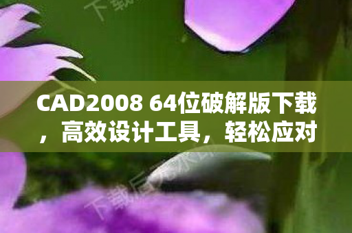 CAD2008 64位破解版下载,高效设计工具,轻松应对复杂项目 CAD2008 64位破解版下载,高效设计工具,轻松应对复杂项目