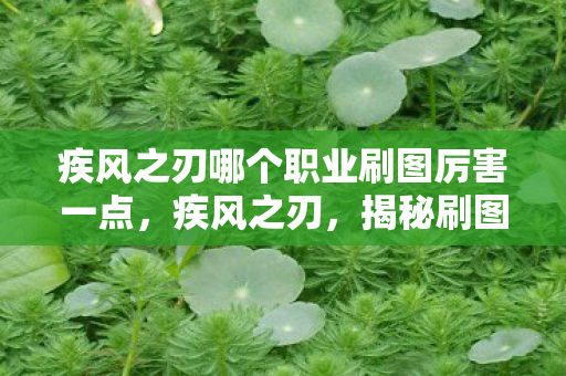 疾风之刃哪个职业刷图厉害一点,疾风之刃,揭秘刷图最厉害的职业 疾风之刃哪个职业刷图厉害一点,疾风之刃,揭秘刷图最厉害的职业
