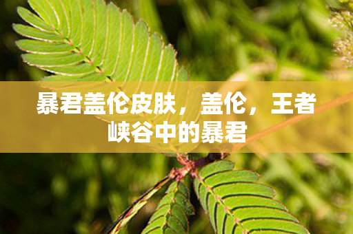 暴君盖伦皮肤,盖伦,王者峡谷中的暴君 暴君盖伦皮肤,盖伦,王者峡谷中的暴君