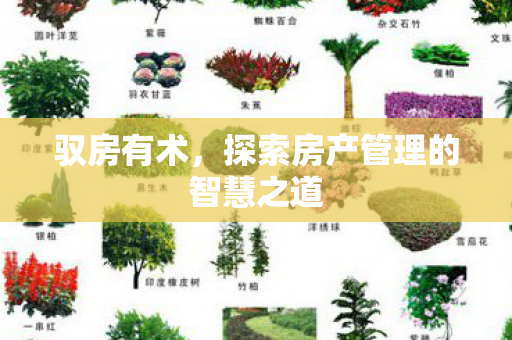 驭房有术，探索房产管理的智慧之道