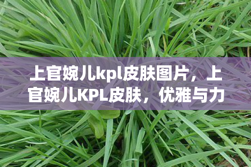 上官婉儿kpl皮肤图片,上官婉儿KPL皮肤,优雅与力量的完美结合 上官婉儿kpl皮肤图片,上官婉儿KPL皮肤,优雅与力量的完美结合