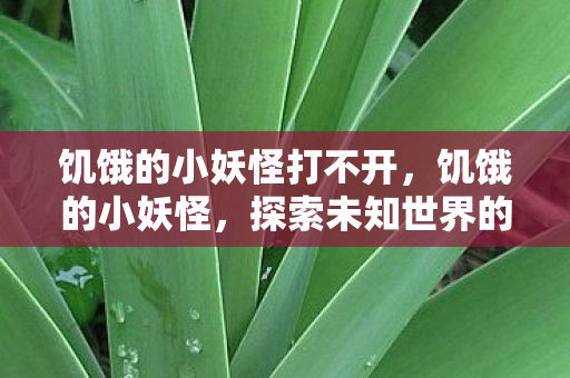 饥饿的小妖怪打不开,饥饿的小妖怪,探索未知世界的奇妙旅程 饥饿的小妖怪打不开,饥饿的小妖怪,探索未知世界的奇妙旅程