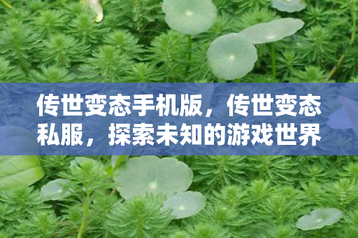 传世变态手机版,传世变态私服,探索未知的游戏世界 传世变态手机版,传世变态私服,探索未知的游戏世界