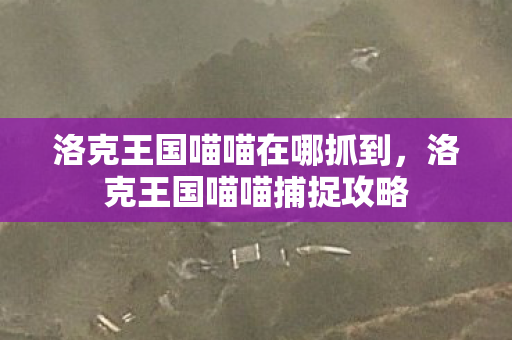 洛克王国喵喵在哪抓到，洛克王国喵喵捕捉攻略