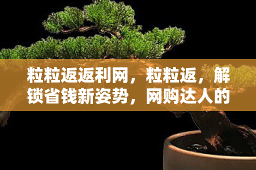 粒粒返返利网,粒粒返,解锁省钱新姿势,网购达人的秘密武器 粒粒返返利网,粒粒返,解锁省钱新姿势,网购达人的秘密武器