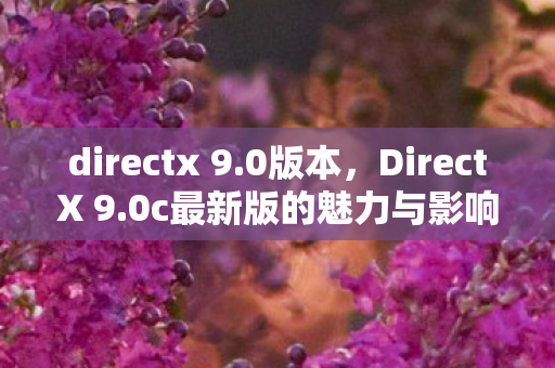 directx 9.0版本,DirectX 9.0c最新版的魅力与影响 directx 9.0版本,DirectX 9.0c最新版的魅力与影响