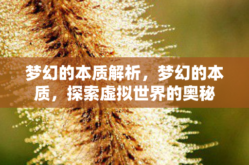 梦幻的本质解析，梦幻的本质，探索虚拟世界的奥秘