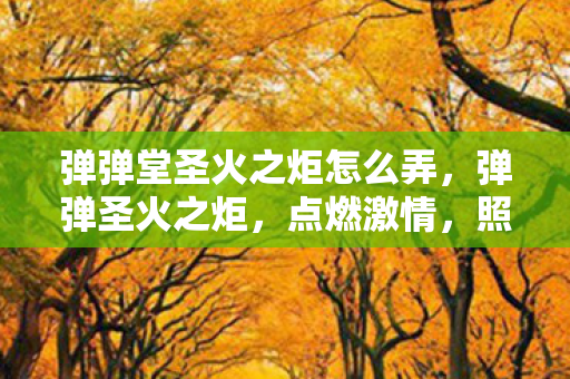 弹弹堂圣火之炬怎么弄,弹弹圣火之炬,点燃激情,照亮游戏之路 弹弹堂圣火之炬怎么弄,弹弹圣火之炬,点燃激情,照亮游戏之路
