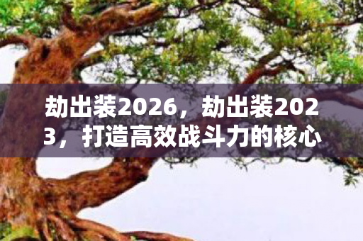 劫出装2026,劫出装2023,打造高效战斗力的核心策略 劫出装2026,劫出装2023,打造高效战斗力的核心策略