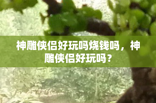 神雕侠侣好玩吗烧钱吗,神雕侠侣好玩吗? 神雕侠侣好玩吗烧钱吗,神雕侠侣好玩吗?