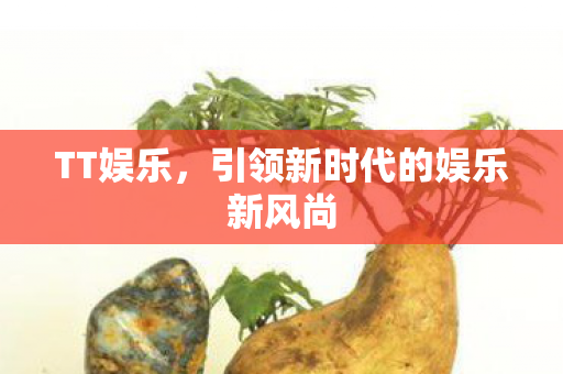 TT娱乐，引领新时代的娱乐新风尚