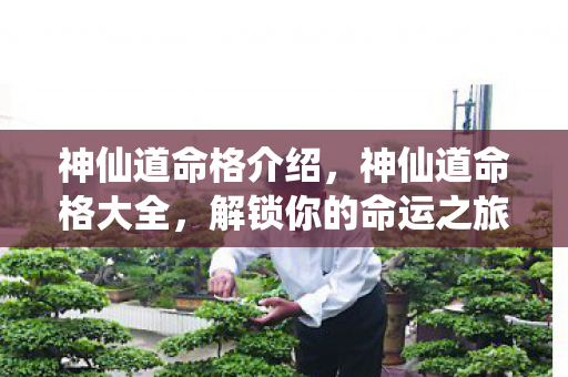 神仙道命格介绍,神仙道命格大全,解锁你的命运之旅 神仙道命格介绍,神仙道命格大全,解锁你的命运之旅