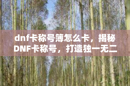 dnf卡称号簿怎么卡,揭秘DNF卡称号,打造独一无二的游戏体验 dnf卡称号簿怎么卡,揭秘DNF卡称号,打造独一无二的游戏体验