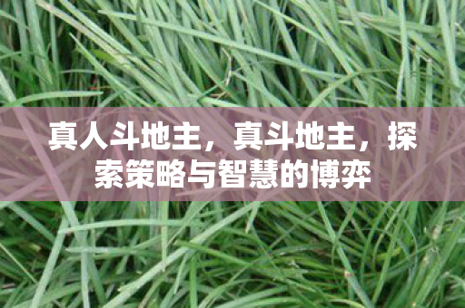 真人斗地主,真斗地主,探索策略与智慧的博弈 真人斗地主,真斗地主,探索策略与智慧的博弈