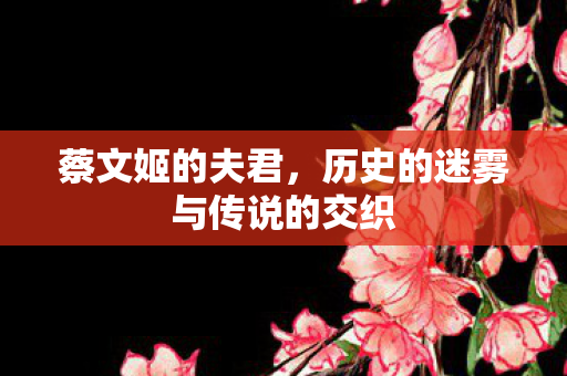 蔡文姬的夫君,历史的迷雾与传说的交织 蔡文姬的夫君,历史的迷雾与传说的交织
