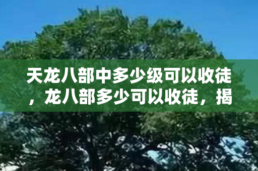 天龙八部中多少级可以收徒,龙八部多少可以收徒,揭秘游戏收徒的门槛与策略 天龙八部中多少级可以收徒,龙八部多少可以收徒,揭秘游戏收徒的门槛与策略