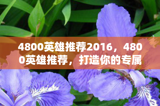 4800英雄推荐2016,4800英雄推荐,打造你的专属战斗阵容 4800英雄推荐2016,4800英雄推荐,打造你的专属战斗阵容