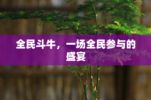 全民斗牛,一场全民参与的盛宴 全民斗牛,一场全民参与的盛宴