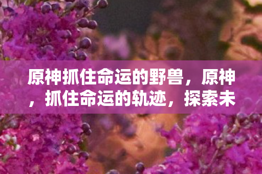 原神抓住命运的野兽,原神,抓住命运的轨迹,探索未知的世界 原神抓住命运的野兽,原神,抓住命运的轨迹,探索未知的世界