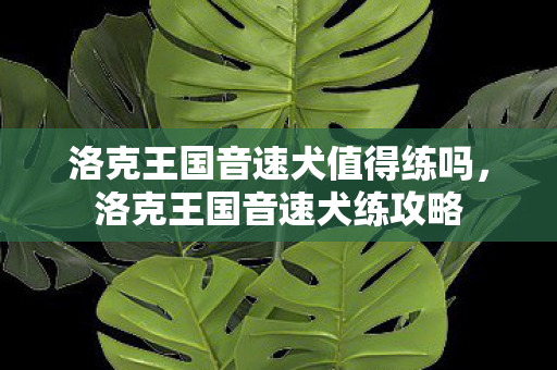 洛克王国音速犬值得练吗,洛克王国音速犬练攻略 洛克王国音速犬值得练吗,洛克王国音速犬练攻略