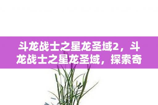 斗龙战士之星龙圣域2,斗龙战士之星龙圣域,探索奇幻世界的无尽冒险 斗龙战士之星龙圣域2,斗龙战士之星龙圣域,探索奇幻世界的无尽冒险